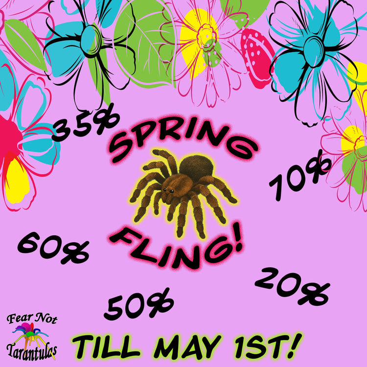 ๐บ๐ปSpring Into Something New With Our Spring Fling Sale!๐ป๐บ