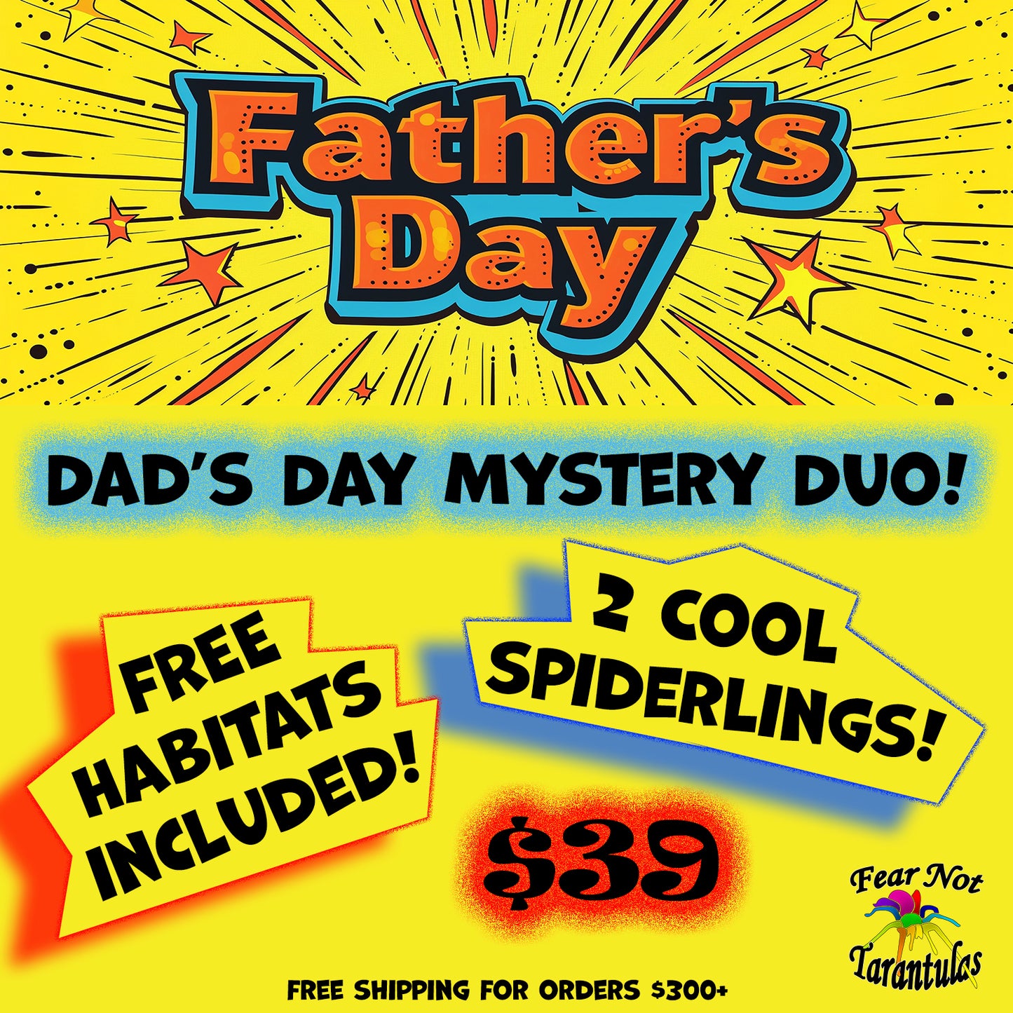 Mystery Dad's Day Duo! Spiderlings about 1/2" New Worlds INCLUDES HABITATS! *Must meet $50 minimum for shipping