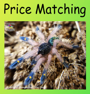  Find a species at a lower price? Just email us! We want our customers to feel assured they are making the best purchasing decision with their hard earned money. 😊 