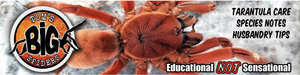  Want To Learn More About Tarantulas? 