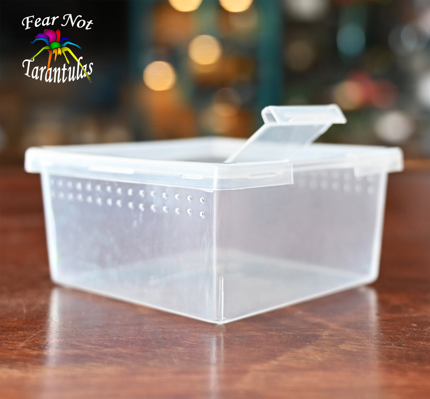 Habitat Square Terrestrial 7 oz 3.5" x 1.75" SHIPPED ONLY WITH THE PURCHASE OF A TARANTULA