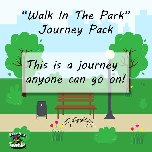 A Walk In The Park Journey Pack!  2 SPIDERLINGS WITH HABITATS. Perfect for any keeper, even first time tarantula keepers!  SEE DESCRIPTION! *ONE PER SHIPMENT*
