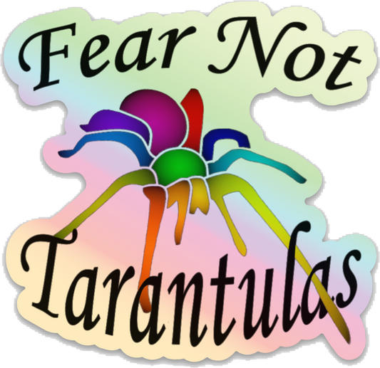 Holographic🌈Sticker (Die cut stickers) Shipped only with live spider purchase.