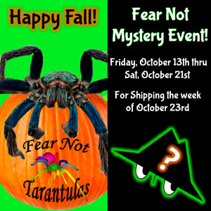 Fall Mystery  Event! October 13th through Oct 21st at NOON EST