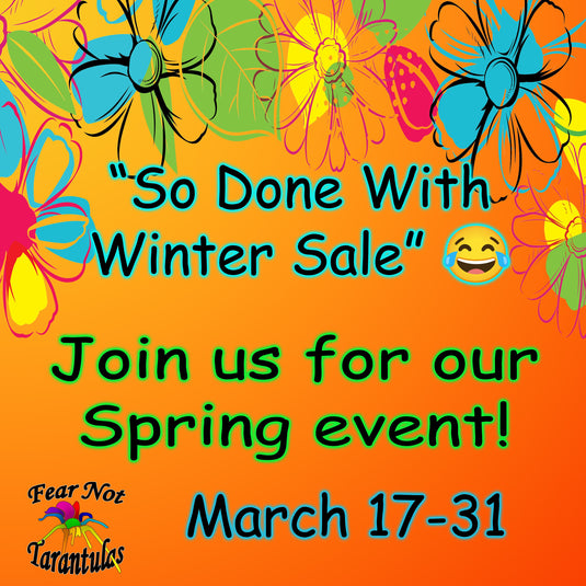 🌺🌻Spring Into Something New With Our Spring Sale!🌻🌺 – Fear Not ...
