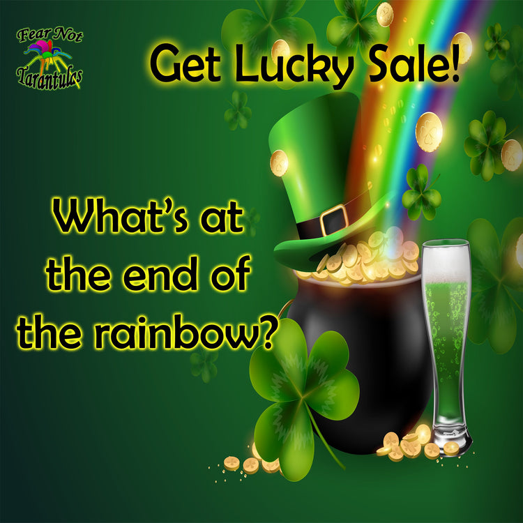 Get Lucky Sale!