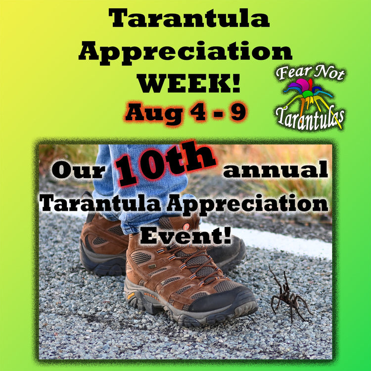Tarantula Appreciation WEEK! Aug 4 - 9!