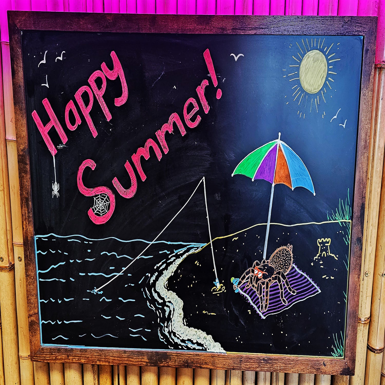 🔥🔥Summer Sizzle Sale! 🔥🔥