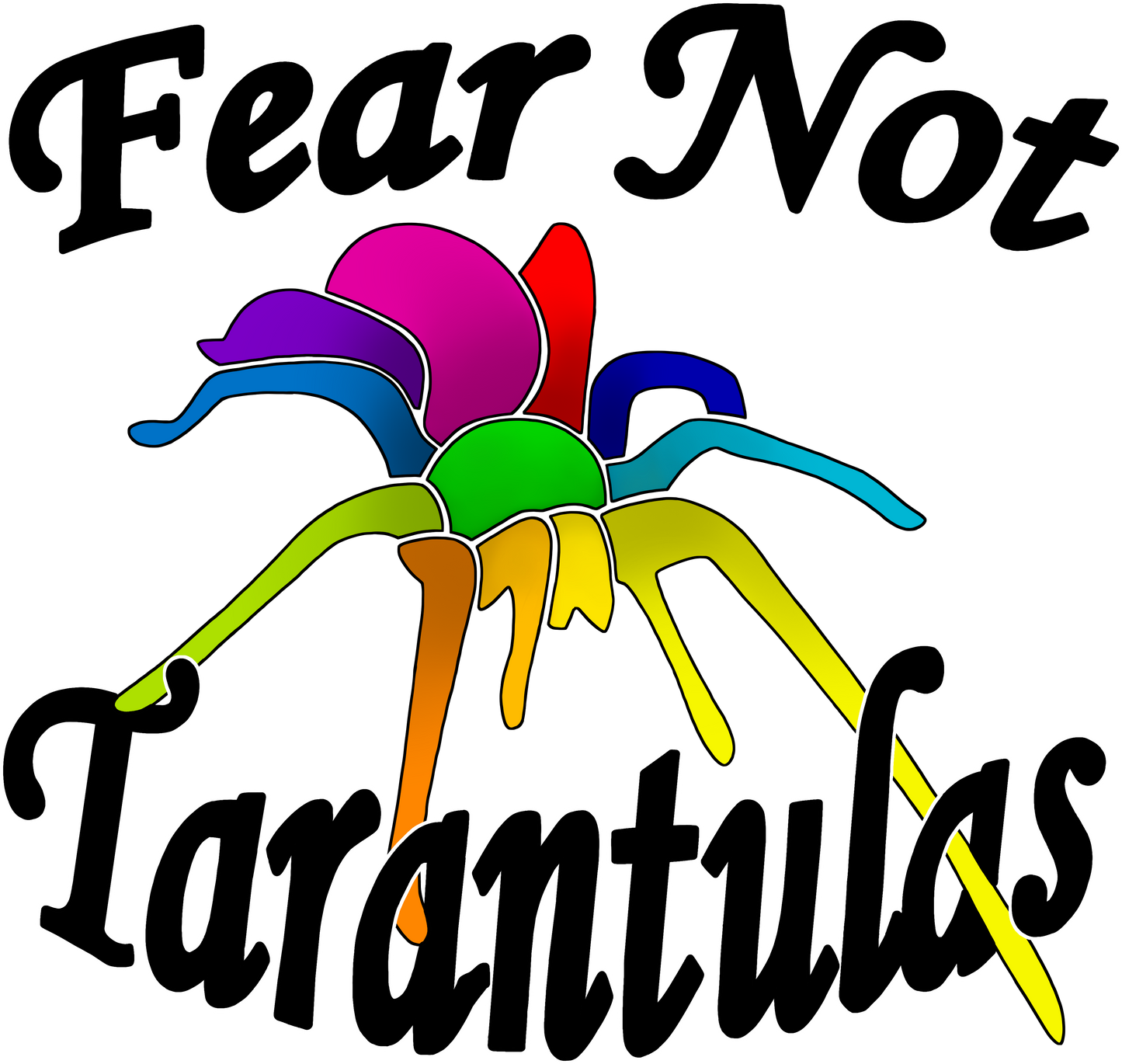 Eresus sp. “Bouarfa” (Moroccan Velvet Spider) about 1/8" INCLUDES HABITAT! Olympic Champion!