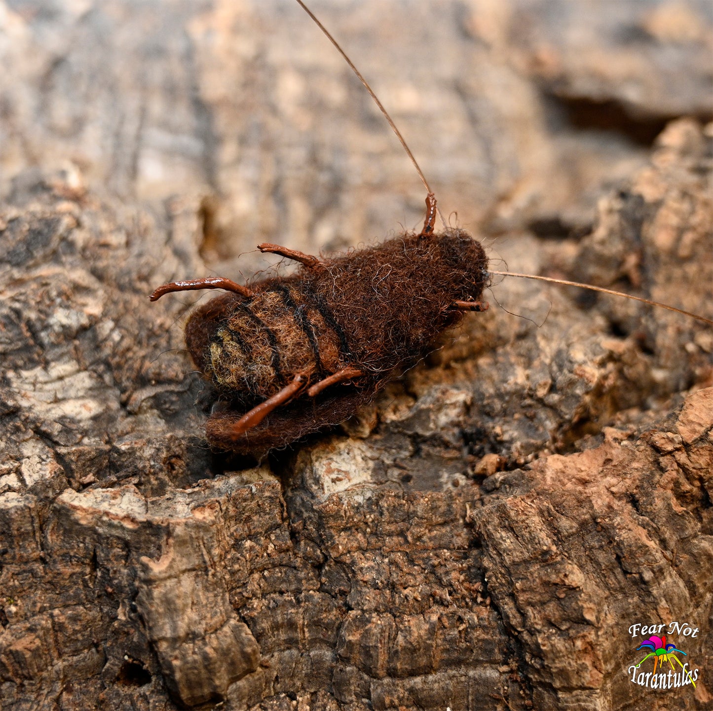 Felted Roach about 1 1/2" Very realistic! SHIPS ONLY WITH A SPIDERLING PURCHASE.