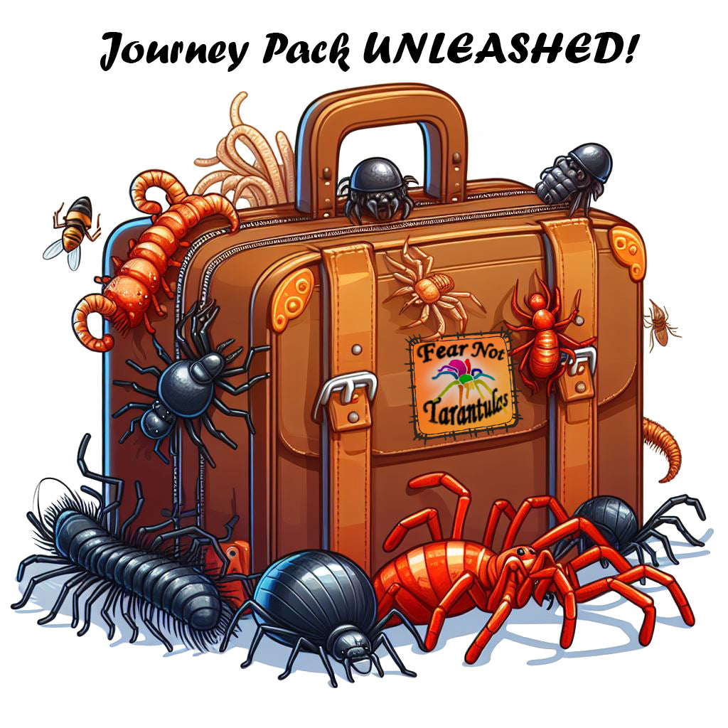 The Adventure Pack - UNLEASHED! *See description – Fear Not