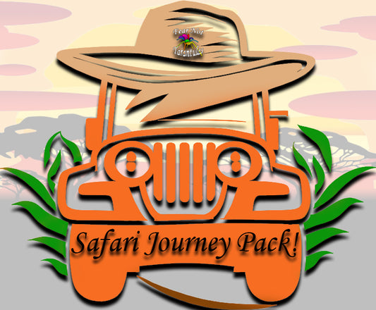 The Safari Journey Pack! A captivating collection of African tarantulas