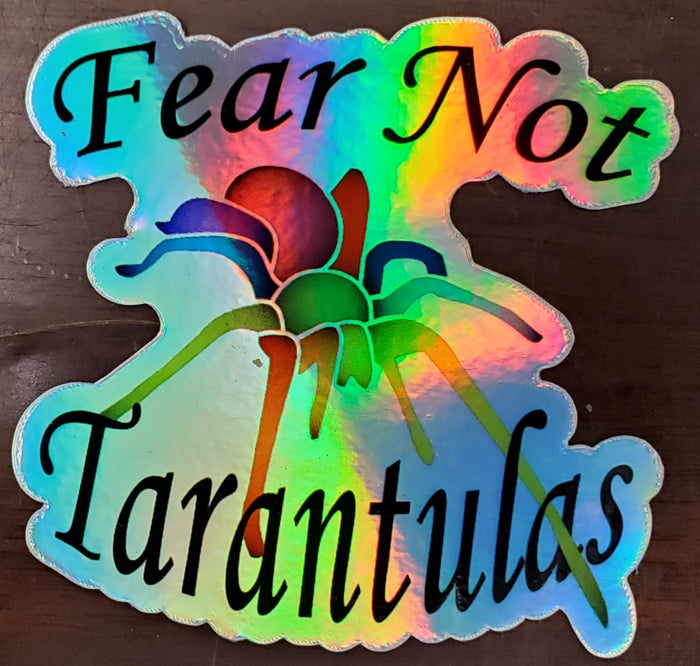 Holographic🌈Sticker (Die cut stickers) Shipped only with live spider purchase. FREE for orders $50 and over! (after discounts and does not include shipping) One freebie per shipment.
