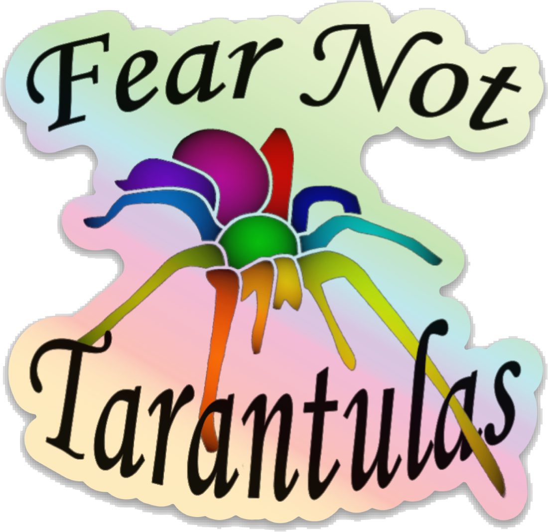 Holographic Rainbow Sticker - FREE for Orders Over $50 – Fear Not  Tarantulas, Inc.